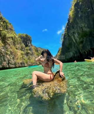 trans girl Apphiaxxx 8026564 trans girl Apphiaxxx 8026564