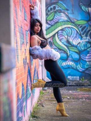 trans girl AqsaQueen55 9539567 trans girl AqsaQueen55 9539567