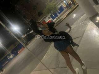 trans girl AriFlores 4329971 trans girl AriFlores 4329971