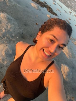 trans girl Arialiciousss 9662228 trans girl Arialiciousss 9662228