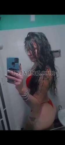 trans girl ArianaL 6182005 trans girl ArianaL 6182005