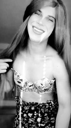 trans girl ArielaBrasil 2084587 trans girl ArielaBrasil 2084587