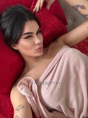 Ariellereis Bruxelas Transex Beautiful, tall, and feminine trans woman with a gift you'll
love – come check it out!