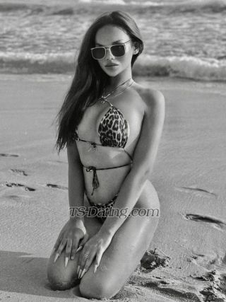 trans girl ArinVVip 9401606