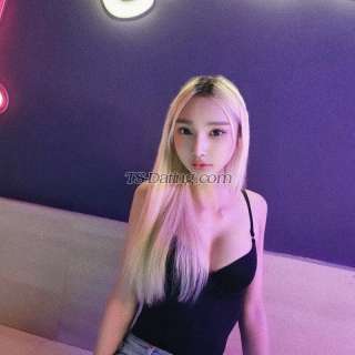 trans girl Arissexy 8970260