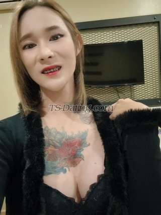 trans girl Aritar 3383274 trans girl Aritar 3383274