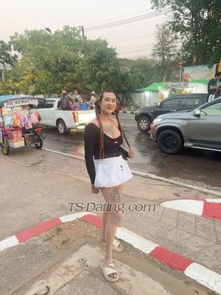 trans girl Aritar 7661988 trans girl Aritar 7661988