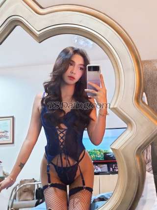 trans girl Armani06 5184171