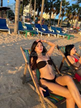 trans girl Armani06 5184251