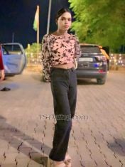 Arohi shrma Delhi Saket Transex Aarohi….🦋
Video call Sarvice
Cam/vc
Recodid video
Play top bottom both
6inch  dick
36 big boobs
Sexy Ass
Decent by words sexy by actions
Hygiene must
Sweet and romantic in bed but can be dominat
And submissive too.
Services
💕Romance /cuddle
💕 massage
💕Drink session /dance
💕Role play
💕cock teasing
💕Domination/soft Domination
💕Full Day /full night
💕cam show

U don’t usually put a lot of make up I prefer my
Natural skin tone hydrated but if u wanne see me with a full glam make up , a mistress look that’s upon ur request .
Let’s have a good time and explore everything,
Making ur fantasies come true.
To those who will.
Videocall right away without my permission will
Be block.
Fir inquires and to know more about my self and
Services just kindly send me a message.
On WhatsApp for real meet or vc service
Charges….🧿🌸🦋
