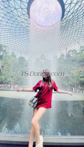 trans girl Ashley23 4864257