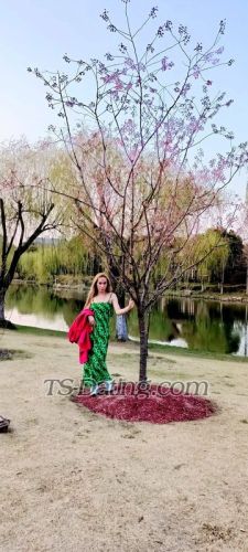 trans girl Ashly34 4875757 trans girl Ashly34 4875757