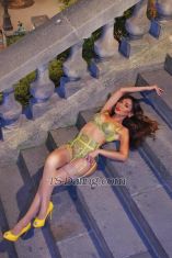 Asian Goddess Paris Transex Asia’s Most Wanted Trans Queen of Class & Nightlife
Elegant • Confident • Unforgettable
I am a trans woman, confident in my identity, deeply feminine, and fully in tune with your desires. With grace, charm, and sophistication, than just physical beauty-I provide genuine connection, conversation, and class. I bring elegance, warmth, and authenticity to every encounter.
💎 Discreet & respectful
💎 Fluent in French & English
💎 Immaculately groomed & stylish
💎 Available for upscale gentlemen

La Plus Recherchée Une Reine Trans d'Asiatique de l’Élégance et des Nuits Chic
Élégance, mystère et féminité assumée.
Je suis une femme trans raffinée, douce et pleine de charme, destinée aux gentlemen exigeants en quête d’une expérience hors du commun.
Entre sensualité maîtrisée et authenticité, je vous offre bien plus qu’un simple moment d’intimité:une véritable parenthèse de plaisir et de connexion. Asiatique aux courbes harmonieuses, au regard envoûtant et à l’allure soignée.
