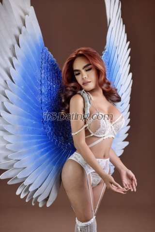 trans girl AsianHUGEdol 8418027 trans girl AsianHUGEdol 8418027