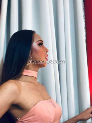 trans girl Asianexotic01 6849271 trans girl Asianexotic01 6849271