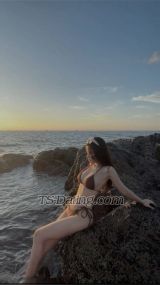 Atasha14 Causeway Bay Transex Elegant. Confident. Unforgettable.

A woman with a refined sense of beauty, style, and sophistication. I believe true luxury is found in confidence, grace, and the way you make people feel.❤️🥰