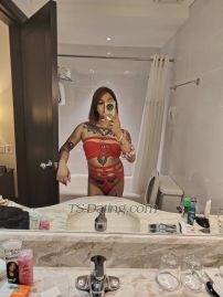 AtractiveTats Quezon City Transex I'm belle a 35yrs old, I have a lots of tattoos, i like the feel of pain and pleasure Try me and will satisfy you 😘 let's chat in WhatsApp  and telegram +639750858199 
