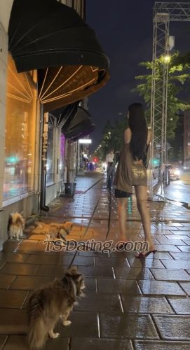 trans girl Atrina 3141759