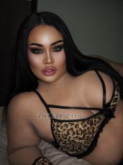 August254300 Phuket Patong Transex Hey Guys I'm August 𝘾𝙃𝙐𝘽𝘽𝙔
𝙇𝘼𝘿𝙔𝘽𝙊𝙔 ✳️ My makeup
looks good, it's not a filter.If you want a
delicious chubby Ladyboy, I'm your best choice. 
أستطيع أن أفعل أي شيء لأجعلك
سعيدًا ❤️I AM BIG ASS & BIG BOOBS 
TALL 180 CENTIMETERS I have cute dick I live
alone in Private room🏡 📍Location Phuket patong
nowhello baby I have all experienced that you
need to do I will cum together with you 1. can give you
good top and bottom. 2. I have a big Ass. 3. I
have a big Boobs to make Boobsjob for Your Cock. 4.I
have a hard Cock and Cums alot for you ( If you need it )
5. I can do everything I can make your simple time
become Your Best time.  MY SERVICES FOR YOU
💵✅FIRST TIME VERY WELCOME✅BLACK GUYS VERY
WELCOME✅POPPER AVAILABLE✅I CAN TOP
100%✅ SEX TOY ❗please contact me before
appointment 1 hours❌ FAKE CLIENT WILL BLOCK❌NO
MONEY NO TEXT PLEASE❌NO FAKE CUSTOMER❌NO
3SOME❇️Don't waste your time if you're not in
Phuket right now Thank you📌 Contact me :
Available 24 hours ✅Line :
August190843✅WhatsApp : +66660765056✅ WeChat:
Augustts_19⭕Fake people and cheap people do
not message meI will Automatic block you westing
the time😹💋❤️🙏🏼I waiting
for you. Hope to see you soon Darling🙏🥰🎉 