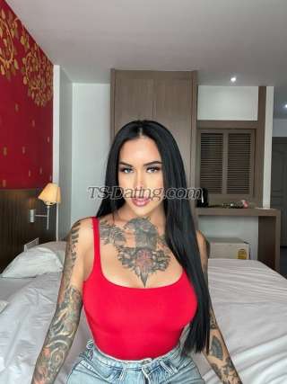 trans girl AmadoraFox 8116904 trans girl AmadoraFox 8116904