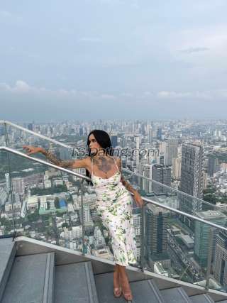 trans girl AmadoraFoxx 0295450 trans girl AmadoraFoxx 0295450