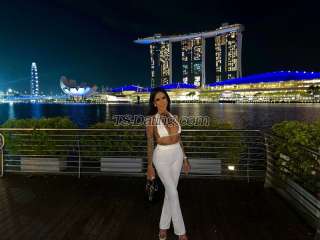 trans girl AmadoraFoxx 2416679 trans girl AmadoraFoxx 2416679