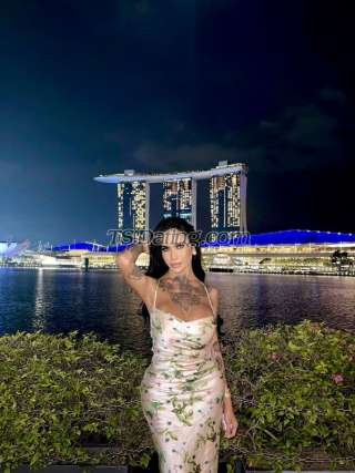 trans girl AmadoraFoxx 2851577 trans girl AmadoraFoxx 2851577