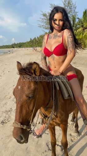 trans girl AmadoraFoxx 4931630 trans girl AmadoraFoxx 4931630