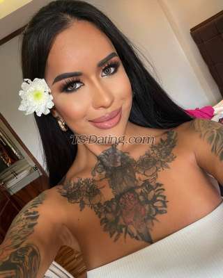 trans girl AmadoraFoxx 8003627 trans girl AmadoraFoxx 8003627