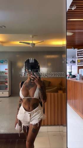 trans girl AmadoraFoxx 8626117 trans girl AmadoraFoxx 8626117