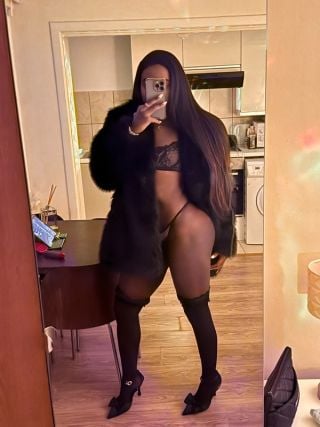 Axgferreira 3660088 Axgferreira 3660088