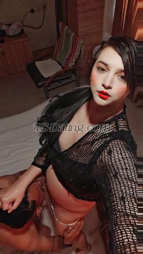 trans girl AyraKhan 8359917 trans girl AyraKhan 8359917