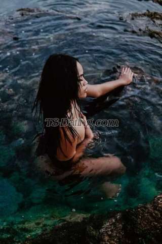 trans girl Ayugrande25 8664168