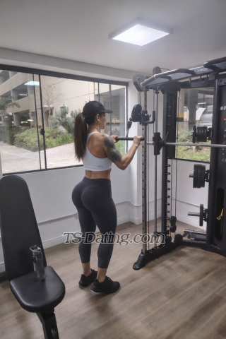 trans girl alinediniz 2389314