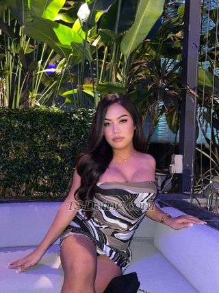 trans girl angelaumalii 3631657 trans girl angelaumalii 3631657