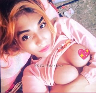 trans girl angeldoll 8242434 trans girl angeldoll 8242434