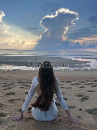 trans girl anutida5555 6504498 trans girl anutida5555 6504498