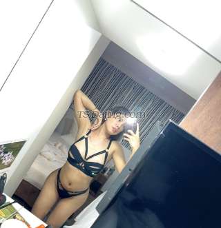 trans girl ashleyshin 1911541