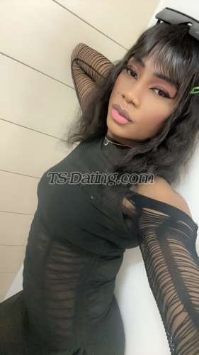 trans girl ashlicy 6012244 trans girl ashlicy 6012244