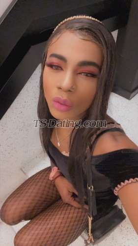 trans girl ashlicy 6231186 trans girl ashlicy 6231186