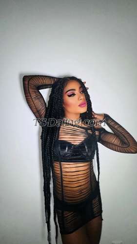 trans girl ashlicy 7736820 trans girl ashlicy 7736820