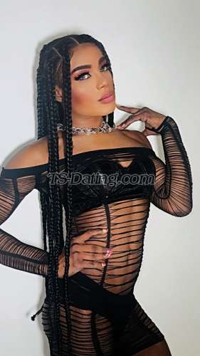 trans girl ashlicy 7736839 trans girl ashlicy 7736839