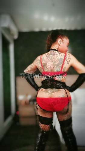 trans girl BADDESTBITCH 6076681