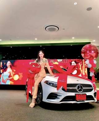 trans girl BBModel 8143909