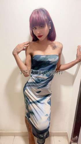 trans girl BabeMona 7010404 trans girl BabeMona 7010404