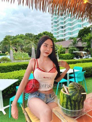 trans girl Babefarisa 2568452