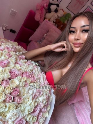 trans girl Babiegurly 7222673 trans girl Babiegurly 7222673