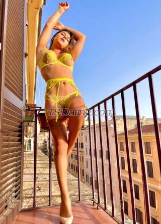 trans girl Babigoulart 4543426 trans girl Babigoulart 4543426