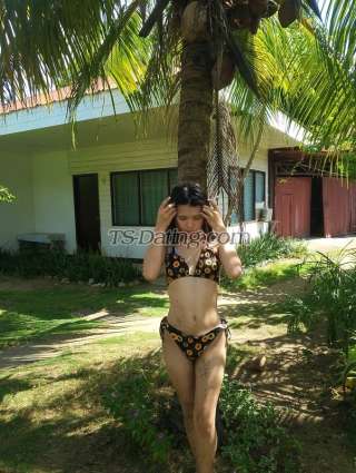 trans girl BabyAra 4916890 trans girl BabyAra 4916890