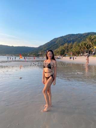 trans girl Bambambii 7999929 trans girl Bambambii 7999929